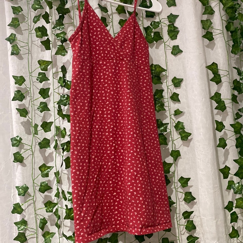 Lightly worn Brandy Melville Amara Dress